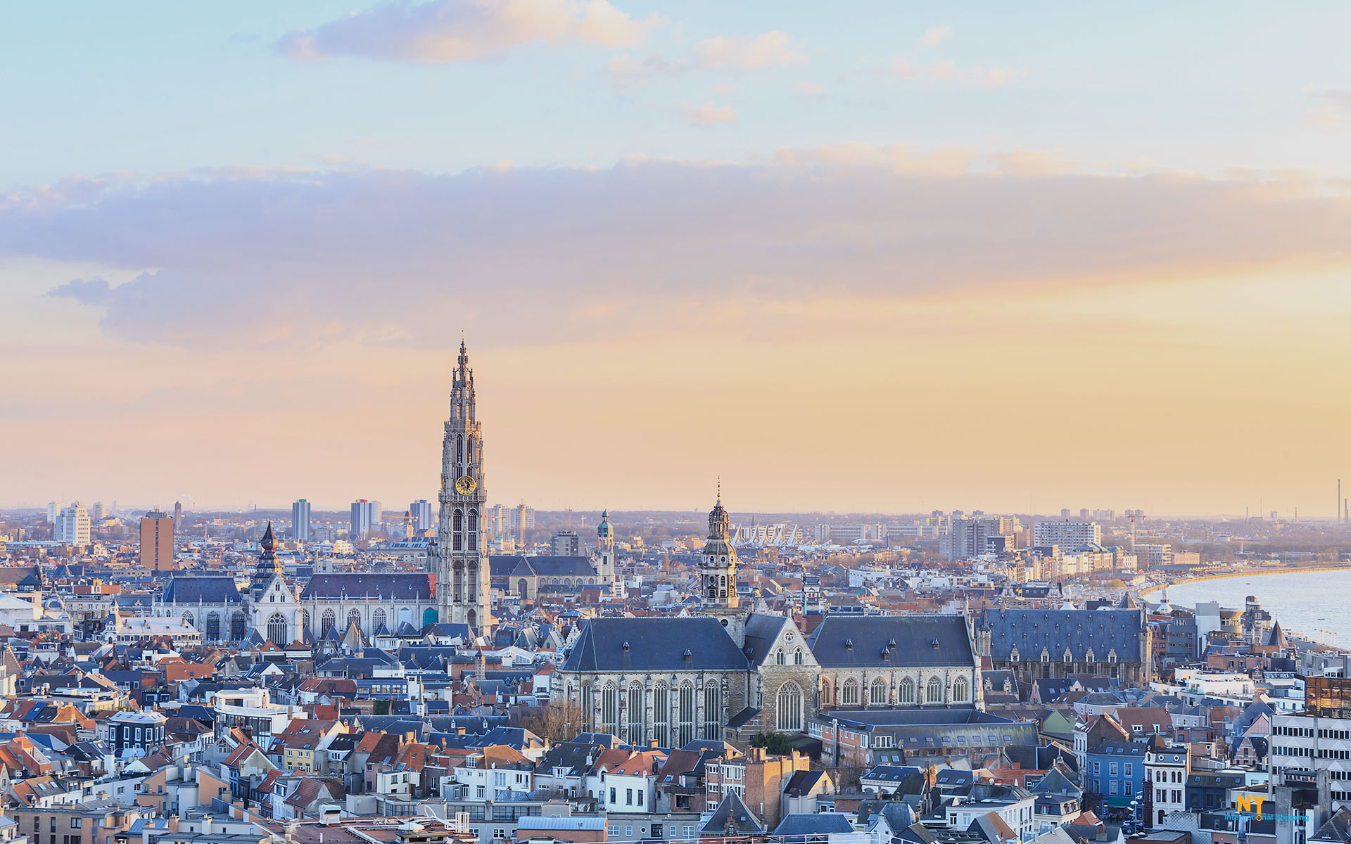 Moving to Belgium, Antwerp