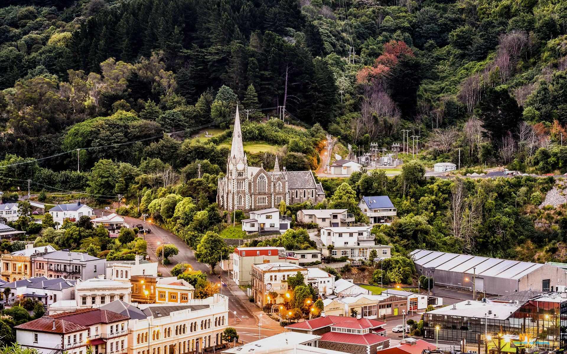 Moving to New Zealand, Dunedin