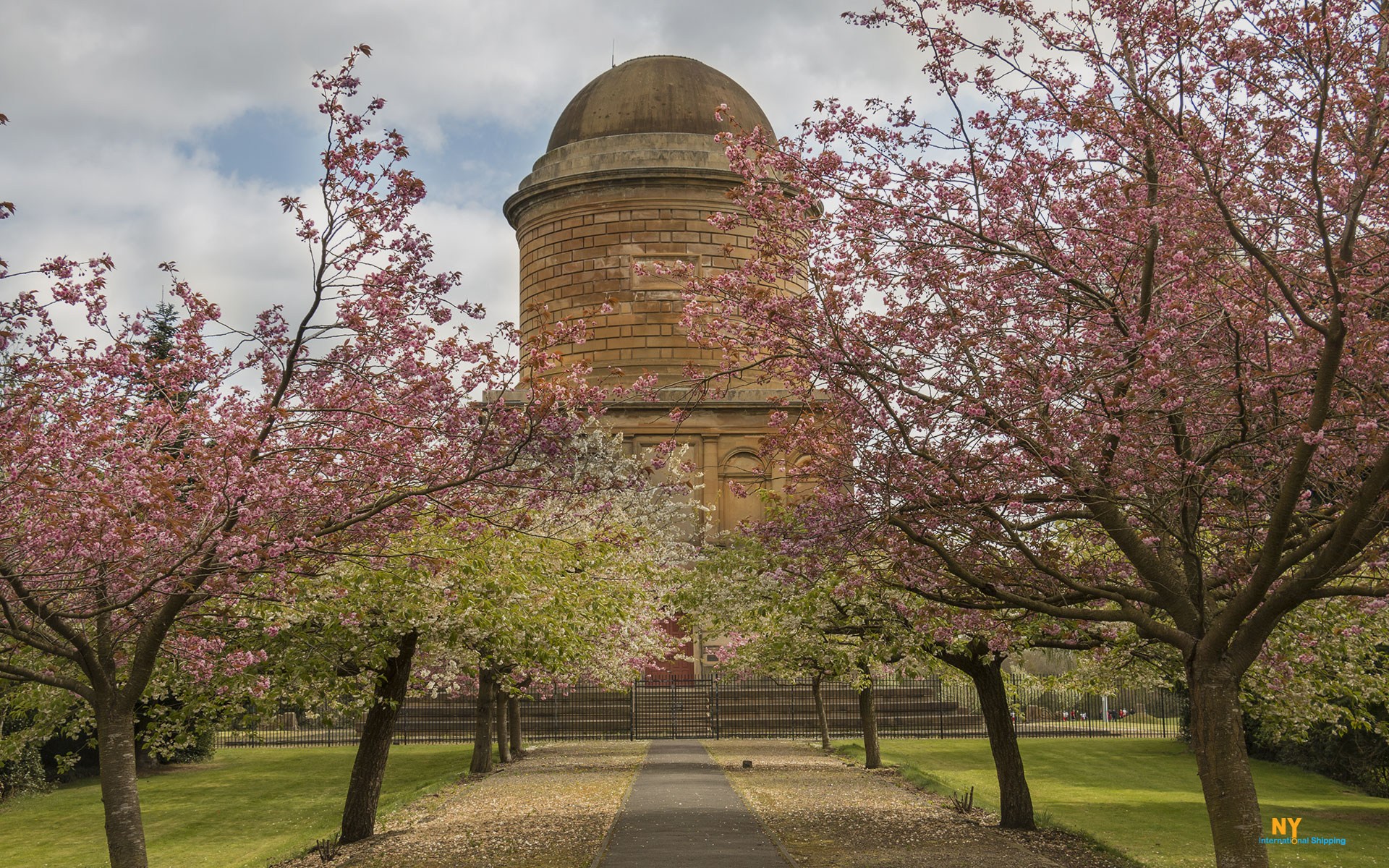 Moving to New Zealand, Hamilton