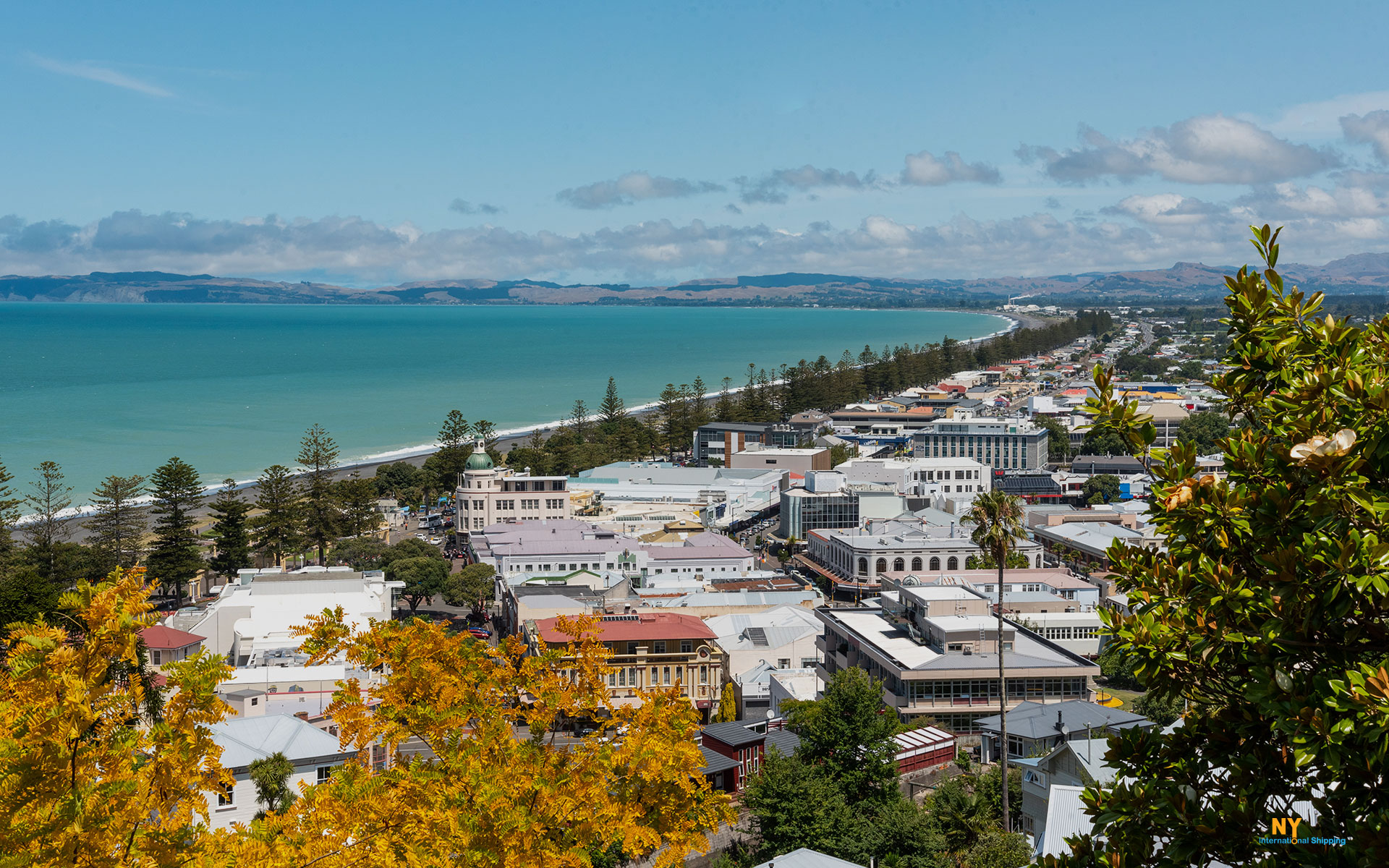 Moving to New Zealand, Napier