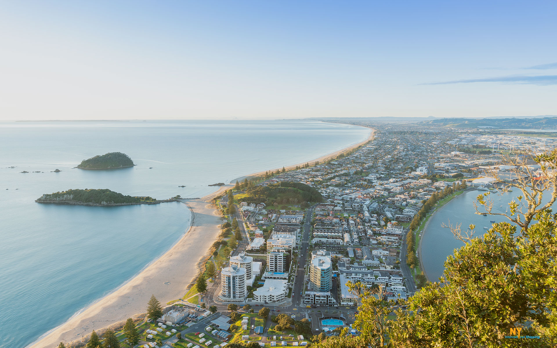 Moving to New Zealand, Tauranga