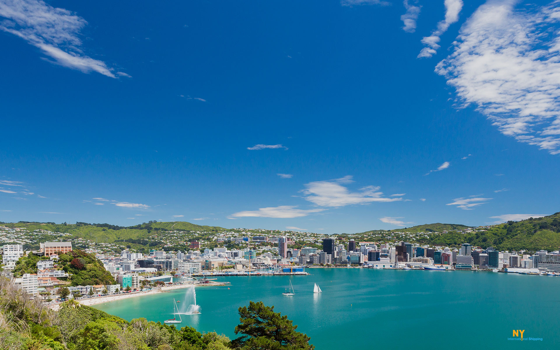 Moving to New Zealand, Wellington